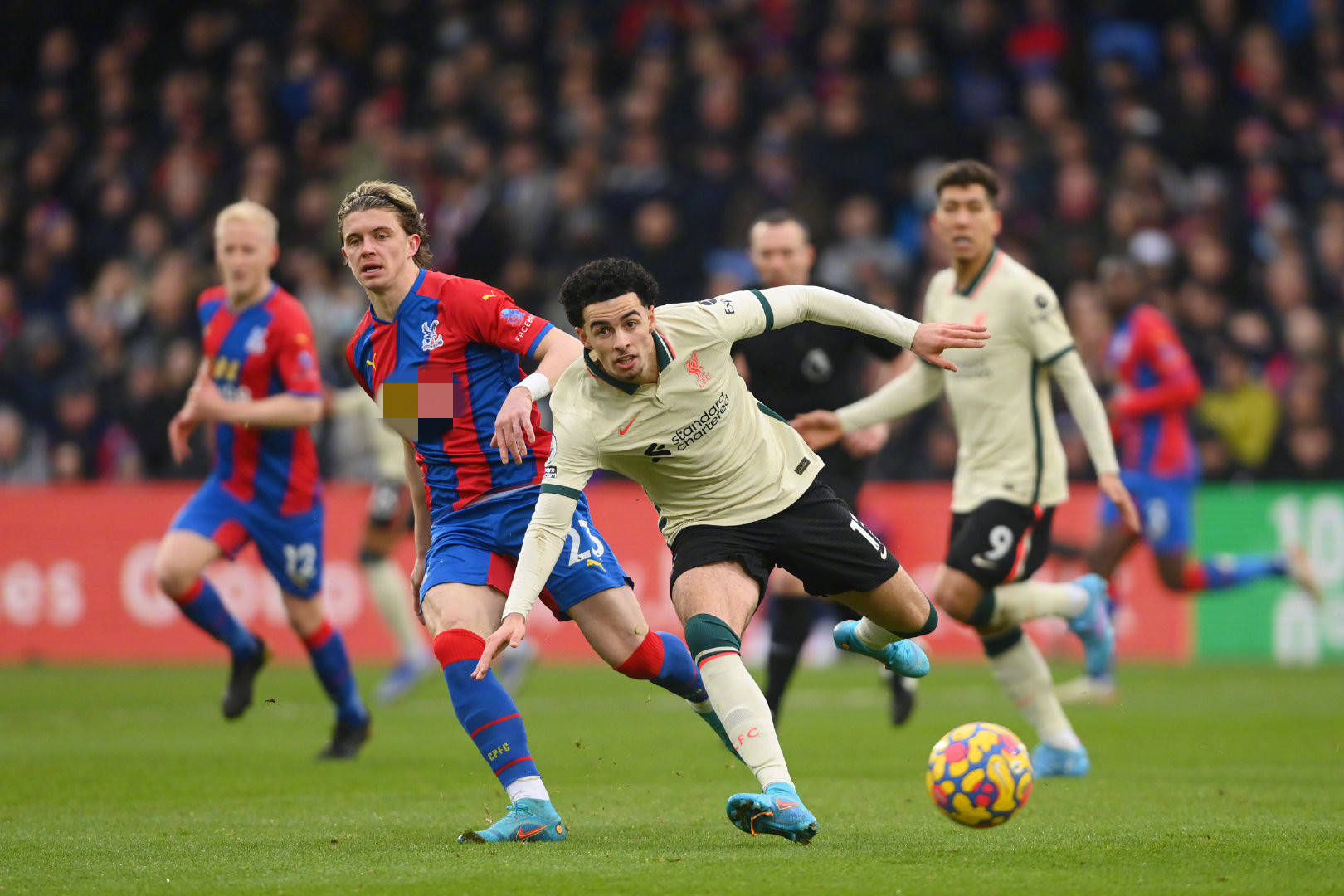 动不仅确保 动不仅确保